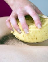 Sponge massage bush